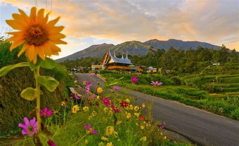 Inilah Recomendasi Menarik Wisata Bukittinggi 2021, Yang Wajib Anda Simpan Dalam List Perjalanan ...