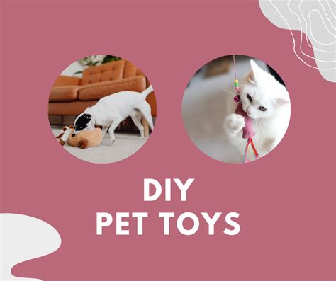 Tips for DIY Pet Toys - Dig This Design