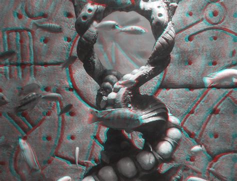 aquarium 3d 3-d stereo anaglyph fish | Michael Passarelli | Flickr