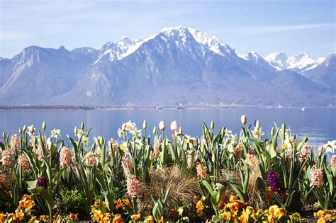 100+ Free Montreux & Lake Geneva Images - Pixabay