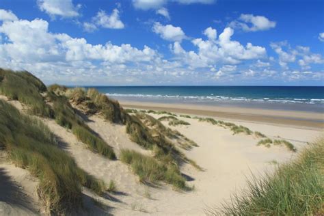 Ynyslas - Darganfod Ceredigion - Discover Ceredigion | Dog friendly beach, Uk beaches, Secluded ...