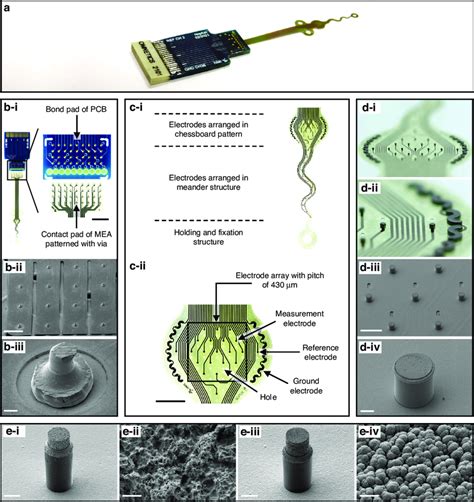 Fabricated 3D neural interface. a Photograph of the fabricated neural ...