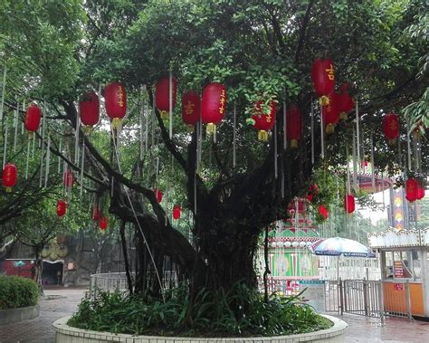 THE 10 BEST Parks & Nature Attractions in Dongguan (Updated 2024)