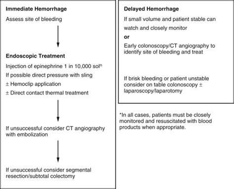 Complications of Colonoscopy | Abdominal Key