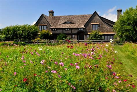 Establishing a Wildflower Meadow | HGTV