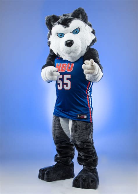 HBU Introduces New Mascot Suit | Houston Baptist University