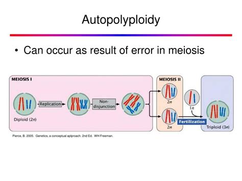 PPT - Maintaining Chromosome Number PowerPoint Presentation, free download - ID:288853