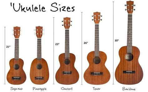 Types of Ukuleles: A Guide to the different kinds of Ukes - KeytarHQ ...