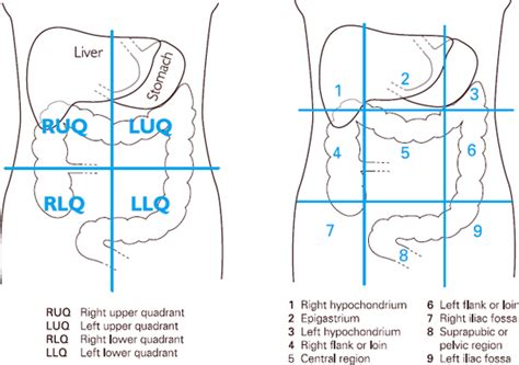 Clinical examination Helen Pickard | Anesthesia Key