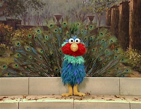 Elmo's World: Birds - Muppet Wiki