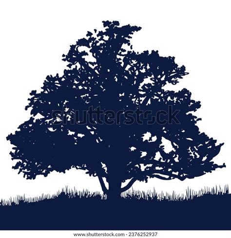 Tree Silhouette Big Tree Silhouette Oak Stock Vector (Royalty Free) 2376252937 | Shutterstock