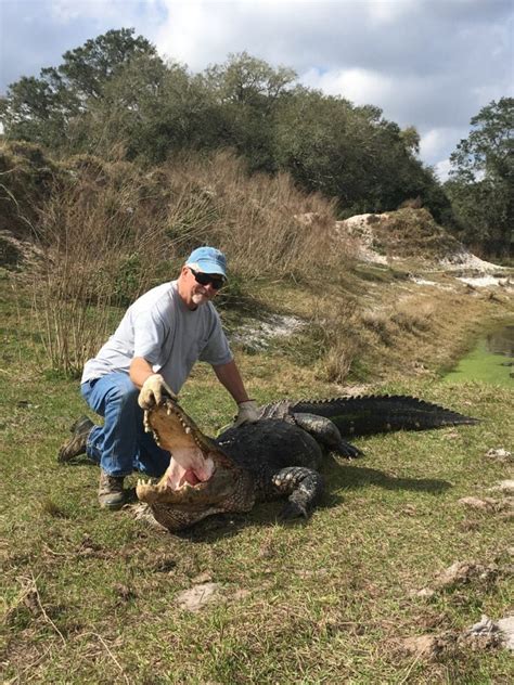 Trophy Florida Gator Hunting By Get Bit Outdoors – Gator, Wild Boar ...