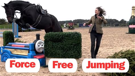 Best tips to teach your horse to jump, to make it fun - YouTube