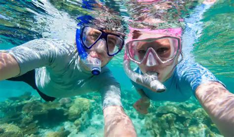 The Ultimate Guide to Snorkeling at Coco Cay! - Trip Pursuit