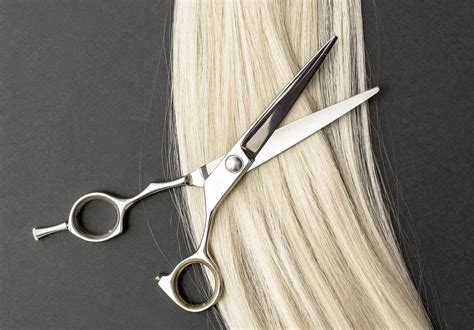 6 Different Types of Hair Cutting Scissors and Their Uses – HairstyleCamp