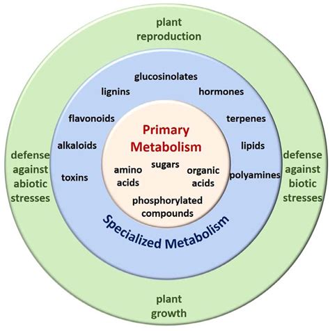 Metabolites | Free Full-Text | Metabolomics as an Emerging Tool for the Study of Plant–Pathogen ...