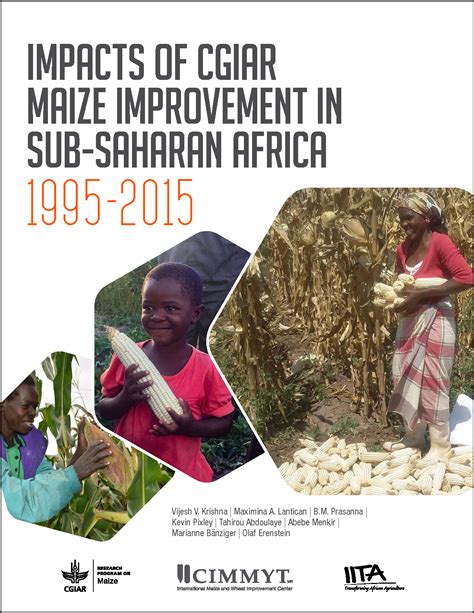 Investment in maize for Africa pays off – ARCHIVE maize.org