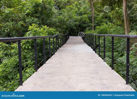 Cement Bridge To the Jungle.Cement-built Bridge for Forest Walkways. Stock Photo - Image of ...