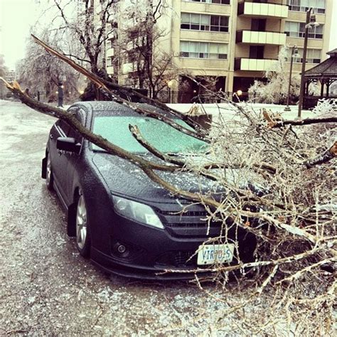 Slideshow: 16 weirdly beautiful pictures from last weekend's ice storm