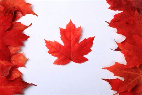 Maple Leaf Canada Flag Stock Photo - Download Image Now - iStock