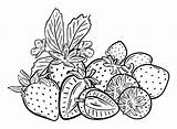 Strawberry Images Coloring Page  Free Printable Pages sketch template