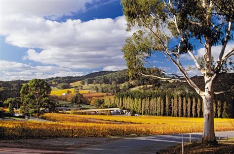 Explore the Breathtaking Hills of Adelaide