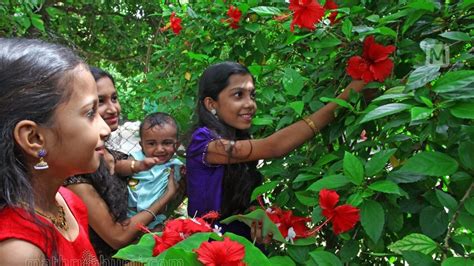 Atham marks beginning of 10-day-long Onam festival in Kerala, Atham ...