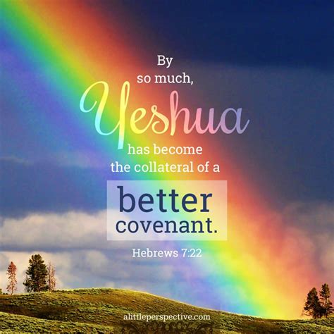 hebrews 7, our better hope