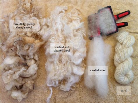 Processing Raw Fleece | Spinning yarn, Spinning wool, Wool yarn