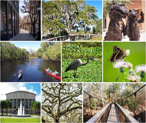 Explore - Events in Gainesville and What's Good in Alachua County, FL