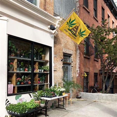 PLANTED IN PARK SLOPE - Updated January 2025 - 12 Photos - 429 Bergen St, Brooklyn, New York ...