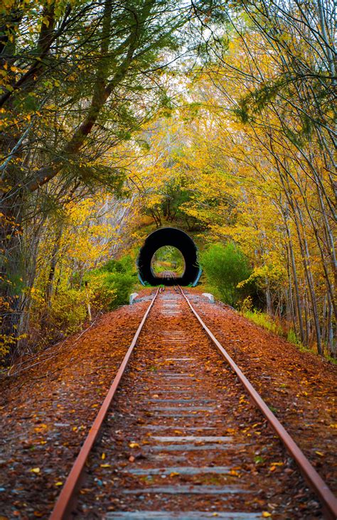 Old Train Tunnel in South Australia (OC) [3885 x 6000] : r/AbandonedPorn