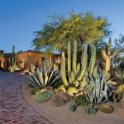 Botanical Beauty - Phoenix Home & Garden | 1000 | Xeriscape landscaping, Desert landscaping ...