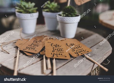 Plants Name Tags Sitting On Wood Stock Photo 1391247782 | Shutterstock