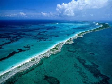 Le più belle barriere coralline del mondo, ecco i migliori posti per immersioni e snorkeling ...