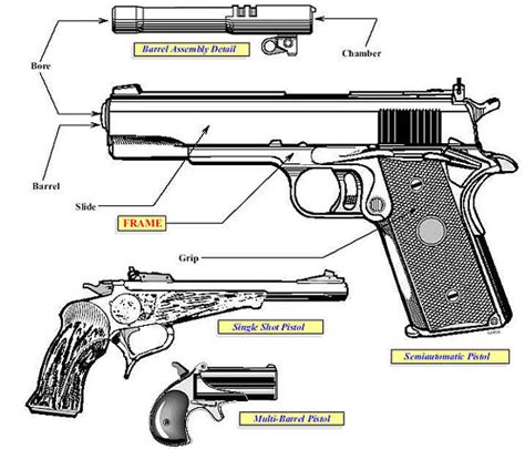 3 Types of Guns: Pistol vs Rifle vs Shotgun - Pew Pew Tactical