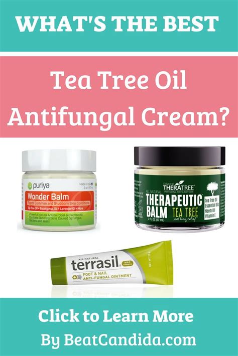 What's the Best Tea Tree Oil Antifungal Cream? - Beat Candida | Antifungal cream, Yeast ...