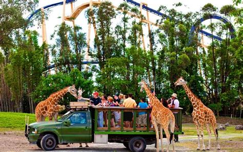 Behind the Thrills | Latest theme park attendance figures show that people aren’t done with ...