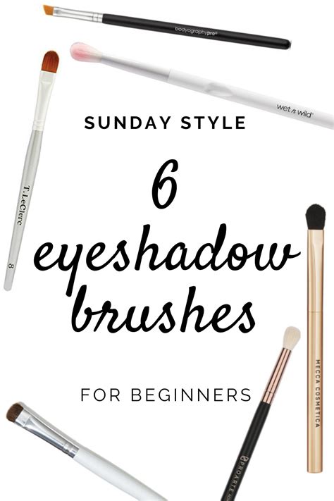 6 Eyeshadow Brushes Every Makeup Beginner Needs To Have | Eye brushes, Essential makeup brushes ...