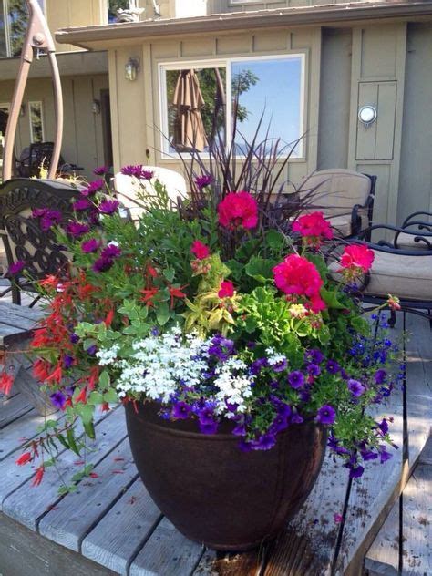 64 ideas for front door plants pots entrance container garden | Container gardening flowers ...