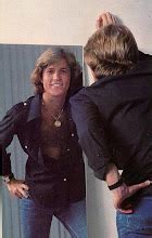 Andy Gibb Angel: ANDY GIBB BIOGRAPHY