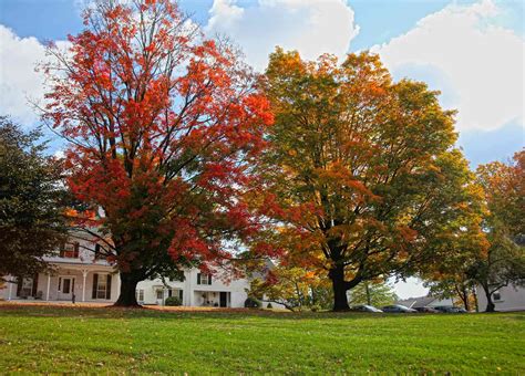 The 15 Oldest Boarding Schools in the US