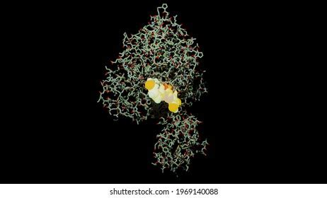 40 Luciferase Images, Stock Photos, and Vectors | Shutterstock