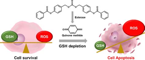 Glutathione (GSH) – Supplement, Dosage, Side effects And anti-Aging ...