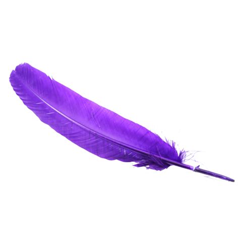 Feather PNG Transparent Images