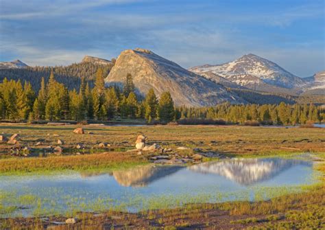 The 5 Best Tuolumne Meadows Tours & Tickets 2021 - Yosemite National Park | Viator