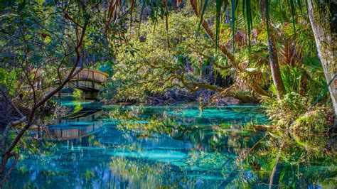 Bing HD Wallpaper Apr 20, 2023: Juniper Springs, Florida - Bing ...