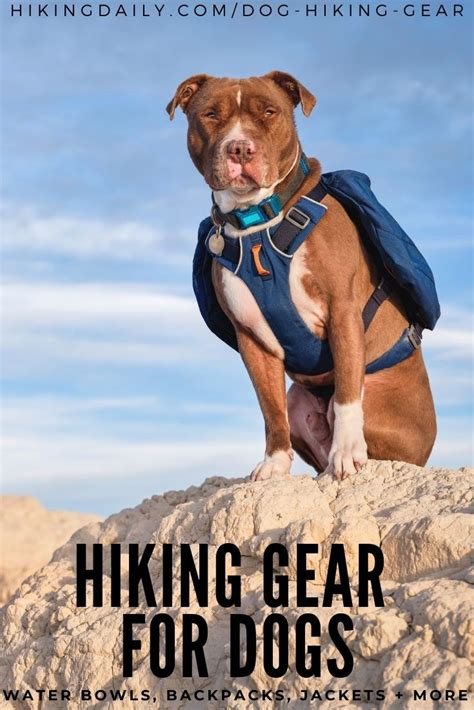 Must-Have Dog Hiking Gear