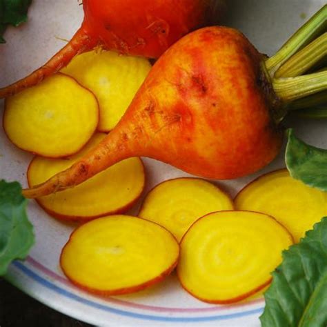 Yellow Beets - Vegetable