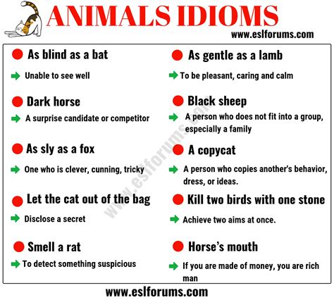 10 Animal Idioms & Phrases You Should Learn - ESL Forums